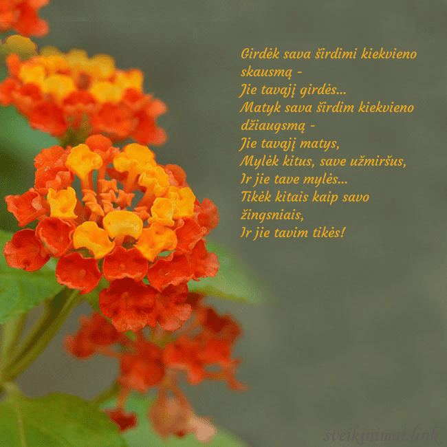 Atvirukas su oranžinėmis gėlėmis Girdėk sava širdimi kiekvieno skausmą -
Jie tavą Atvirukas su oranžinėmis gėlėmis
