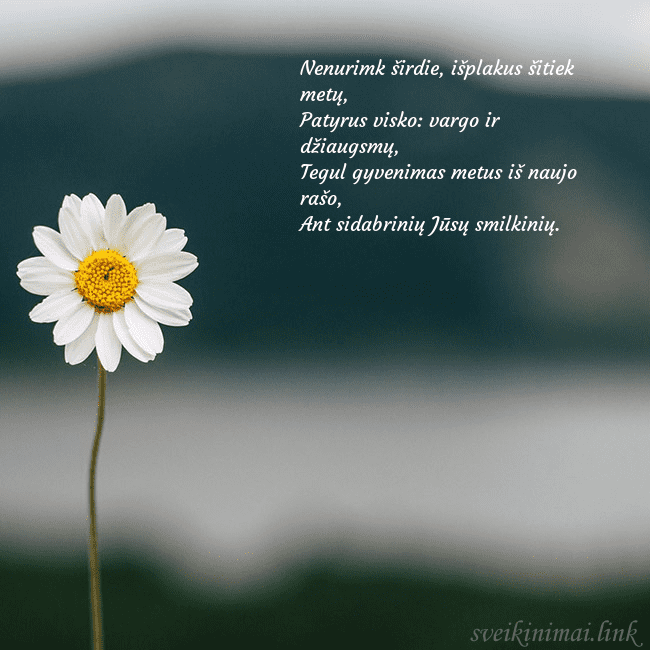 Elektroninis atvirukas su ramune Nenurimk širdie, išplakus šitiek metų,
Patyrus v Elektroninis atvirukas su ramune