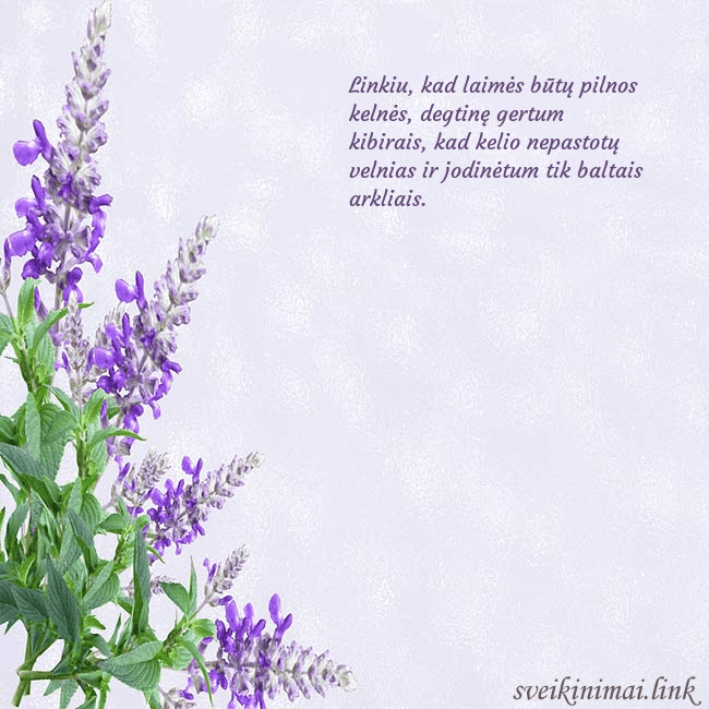 Gimtadienio atvirukas su lubinais Linkiu, kad laimės būtų pilnos kelnės, degtinę ger Gimtadienio atvirukas su lubinais