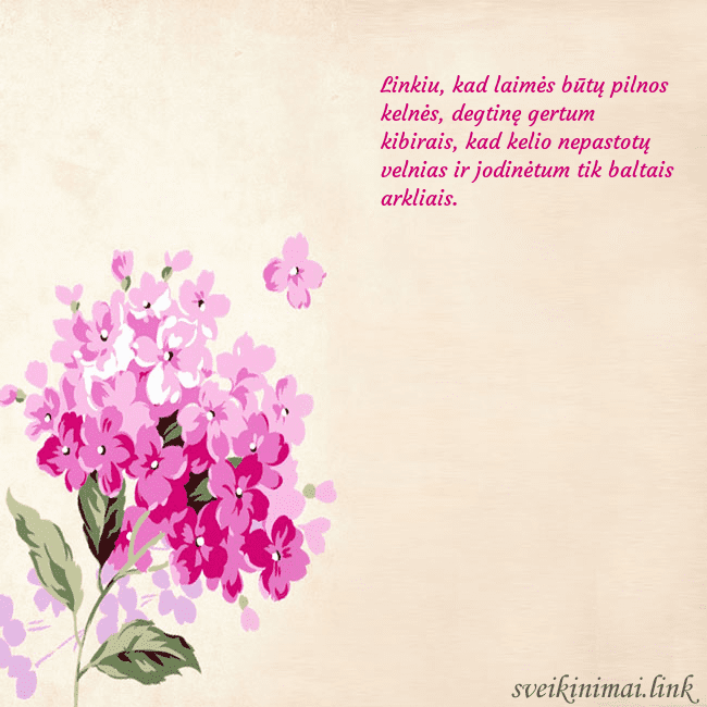 Gimtadienio atvirukas su piešta hortenzija Linkiu, kad laimės būtų pilnos kelnės, degtinę ger Gimtadienio atvirukas su piešta hortenzija