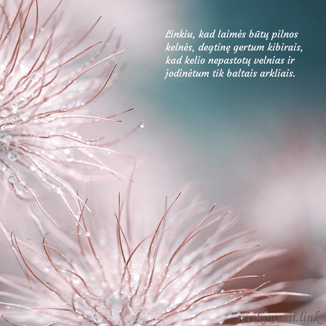 Atvirukas su pūkuotais augaliukais Linkiu, kad laimės būtų pilnos kelnės, degtinę ger Atvirukas su pūkuotais augaliukais