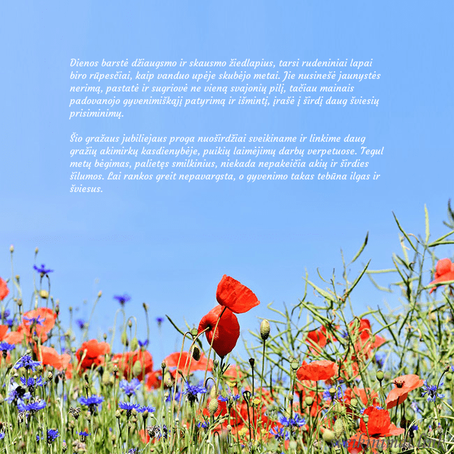 Gimtadienio atvirukas su aguonomis Dienos barstė džiaugsmo ir skausmo žiedlapius, tar Gimtadienio atvirukas su aguonomis