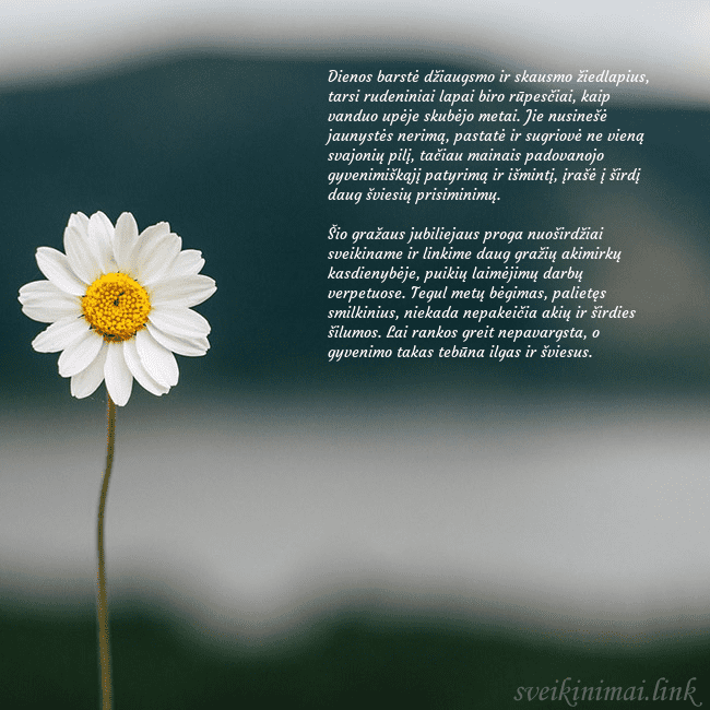 Elektroninis atvirukas su ramune Dienos barstė džiaugsmo ir skausmo žiedlapius, tar Elektroninis atvirukas su ramune