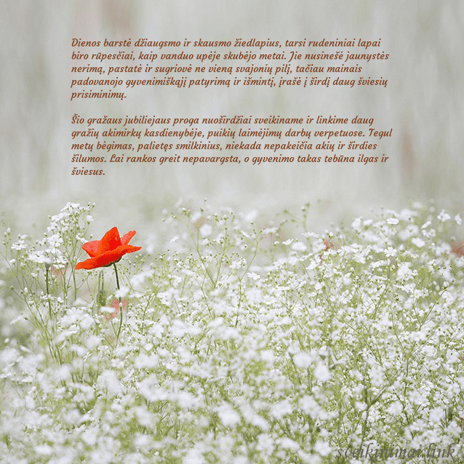 Elektroninis gimtadienio atvirukas su baltomis gėlėmis Dienos barstė džiaugsmo ir skausmo žiedlapius, tar Elektroninis gimtadienio atvirukas su baltomis gėlėmis