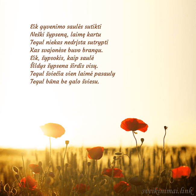 Elektroninė atvirutė su saulėje skendinčiu aguonų lauku