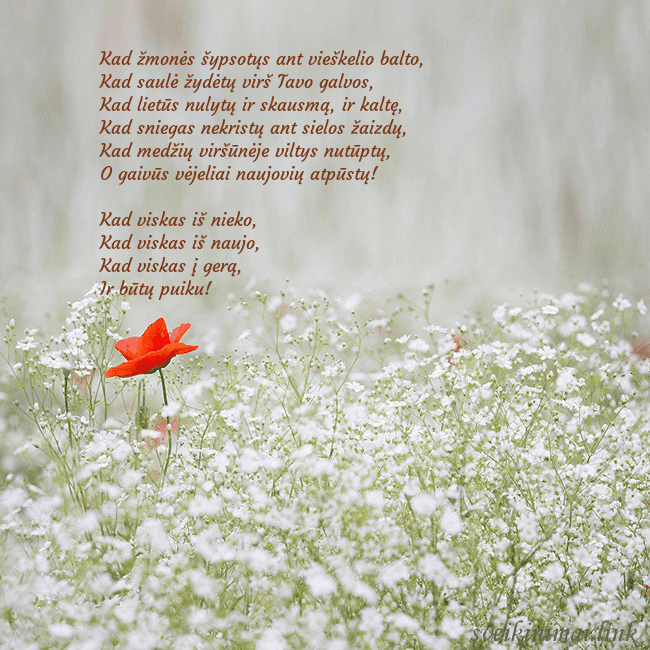 Elektroninis gimtadienio atvirukas su baltomis gėlėmis