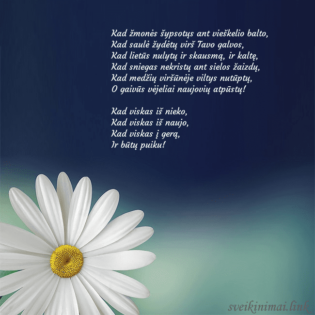 Gimtadienio atvirukas su didele ramune