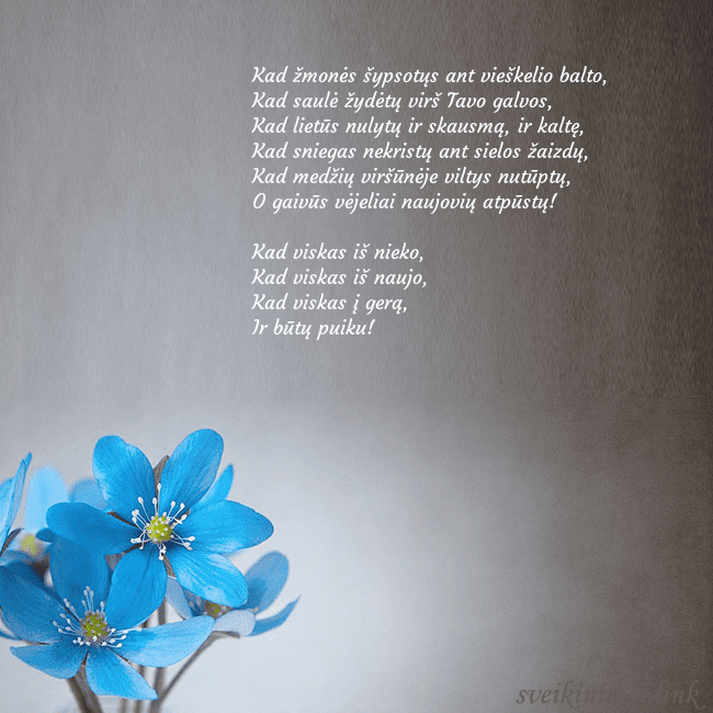 Atvirukas su žibuoklėmis