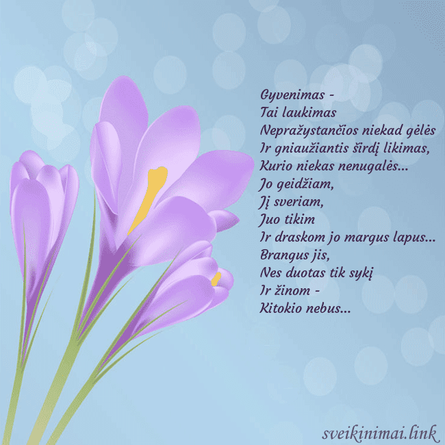 Atvirukas su kroku