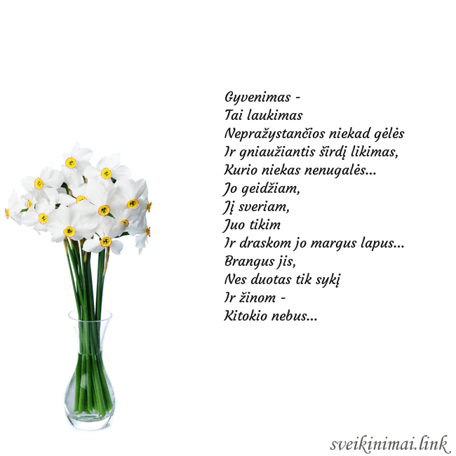 Atvirukas su narcizais