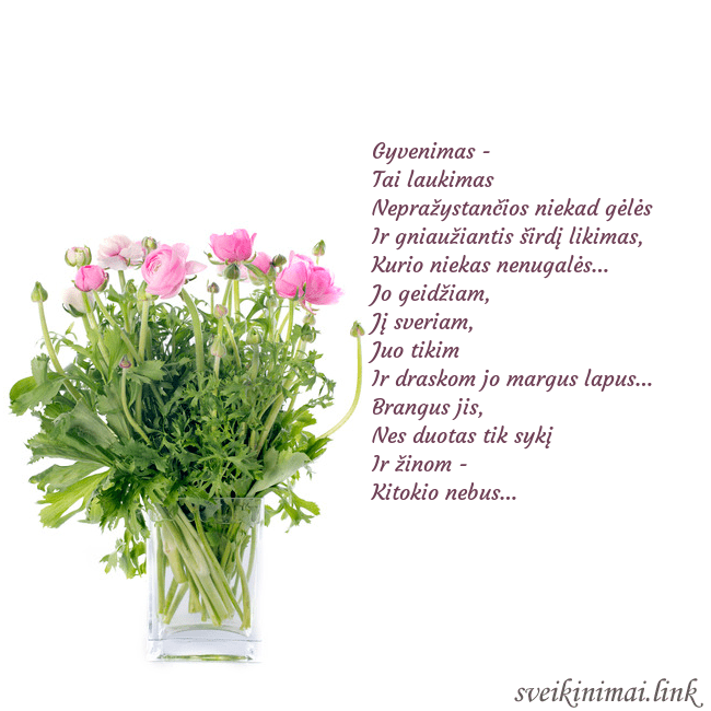 Atvirukas su gėlėmis vazoje