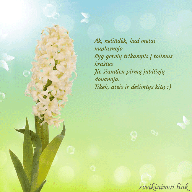 Atvirukas su hiacintu Ak, neliūdėk, kad metai nuplasnojo
Lyg gervių tri Atvirukas su hiacintu