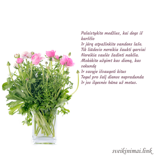 Atvirukas su gėlėmis vazoje