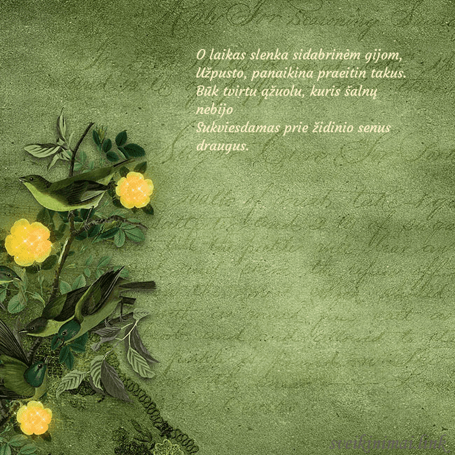 Žalias atvirukas su geltonomis gėlėmis O laikas slenka sidabrinėm gijom, 
Užpusto, panai Žalias atvirukas su geltonomis gėlėmis