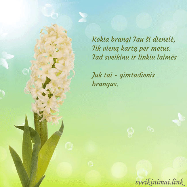 Atvirukas su hiacintu