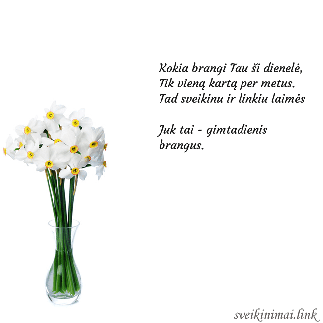 Atvirukas su narcizais