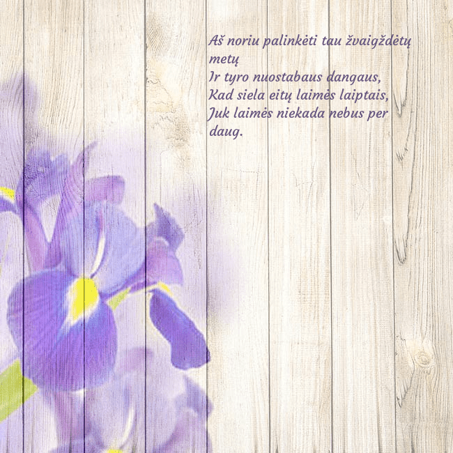 Atvirukas su vilkdalgiais Aš noriu palinkėti tau žvaigždėtų metų
Ir tyro nu Atvirukas su vilkdalgiais