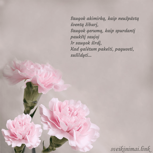 Atvirukas su rožiniais gvazdikais Saugok akimirką, kaip neužpūstą šventą žiburį,
Sa Atvirukas su rožiniais gvazdikais