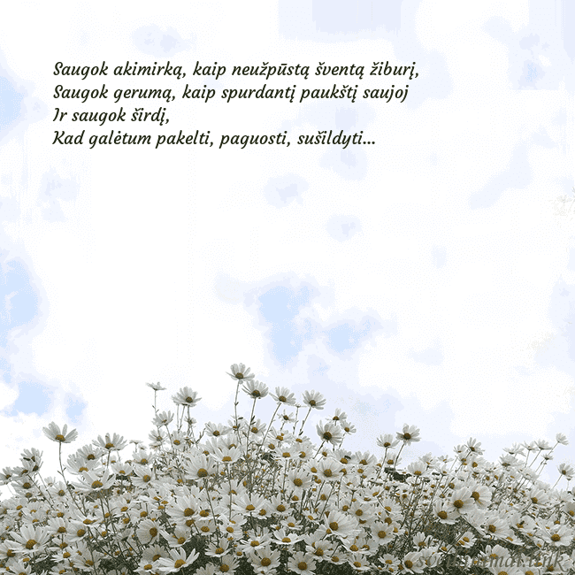 Atvirukas su ramunėmis