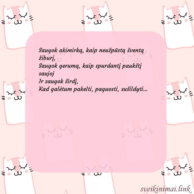 Rožinis gimtadienio atvirukas su juokingais katinais