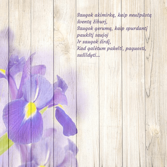 Atvirukas su vilkdalgiais Saugok akimirką, kaip neužpūstą šventą žiburį,
Sa Atvirukas su vilkdalgiais