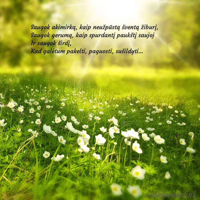 Elektroninė atvirutė su saulės spinduliuose skendinčia pieva Saugok akimirką, kaip neužpūstą šventą žiburį,
Sa Elektroninė atvirutė su saulės spinduliuose skendinčia pieva