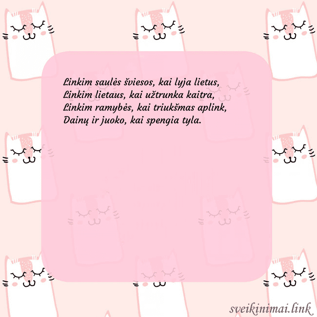 Rožinis gimtadienio atvirukas su juokingais katinais Linkim saulės šviesos, kai lyja lietus,
Linkim li Rožinis gimtadienio atvirukas su juokingais katinais