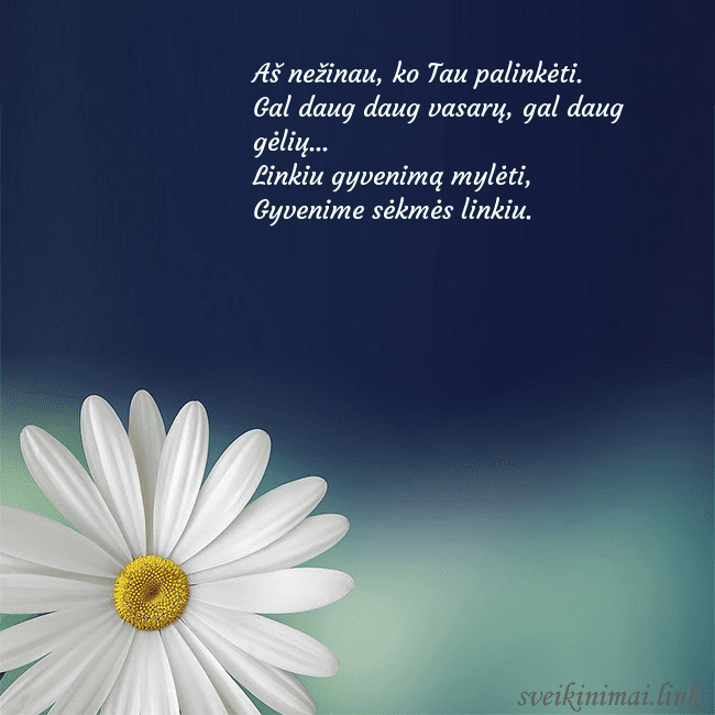 Gimtadienio atvirukas su didele ramune