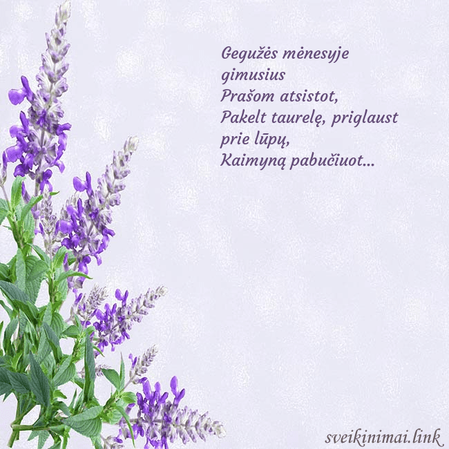 Gimtadienio atvirukas su lubinais Gegužės mėnesyje gimusius 
Prašom atsistot,
Pakelt Gimtadienio atvirukas su lubinais