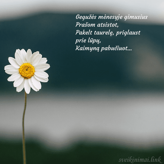 Elektroninis atvirukas su ramune Gegužės mėnesyje gimusius
Prašom atsistot,
Pakelt Elektroninis atvirukas su ramune