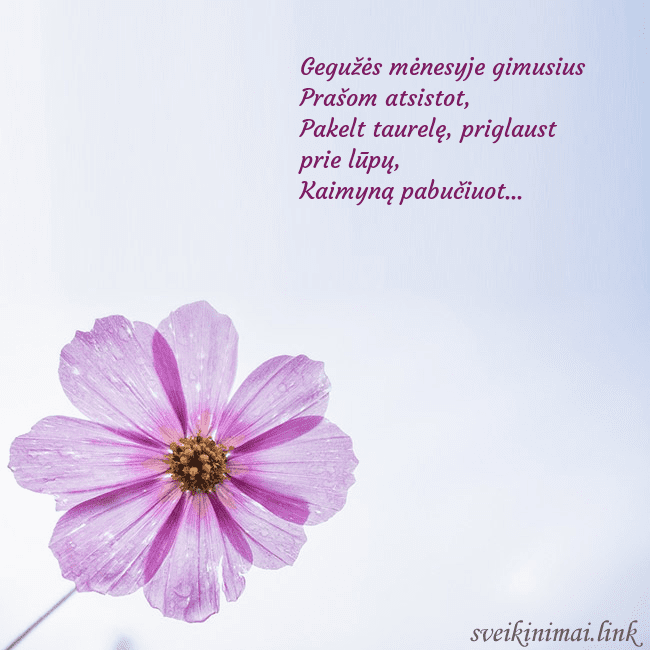 Elektroninė atvirutė su violetine gėle Gegužės mėnesyje gimusius
Prašom atsistot,
Pakelt Elektroninė atvirutė su violetine gėle