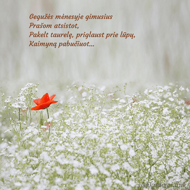 Elektroninis gimtadienio atvirukas su baltomis gėlėmis Gegužės mėnesyje gimusius
Prašom atsistot,
Pakelt Elektroninis gimtadienio atvirukas su baltomis gėlėmis