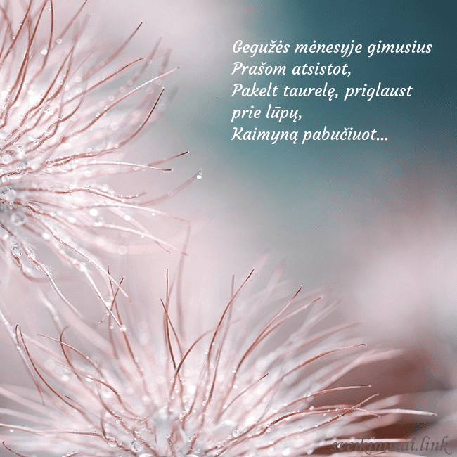 Atvirukas su pūkuotais augaliukais Gegužės mėnesyje gimusius
Prašom atsistot,
Pakelt Atvirukas su pūkuotais augaliukais