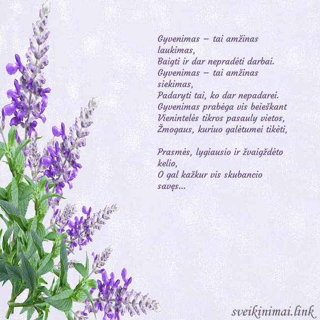 Gimtadienio atvirukas su lubinais