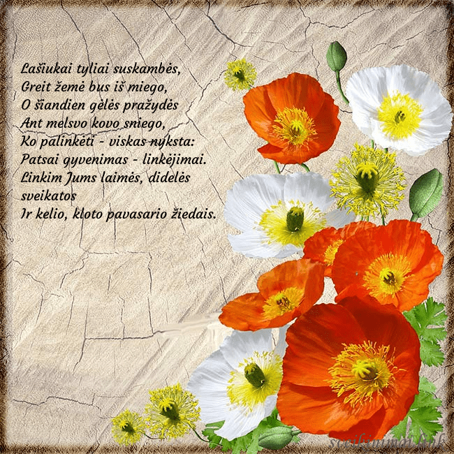 Atvirukas su aguonomis Lašiukai tyliai suskambės,
Greit žemė bus iš mieg Atvirukas su aguonomis