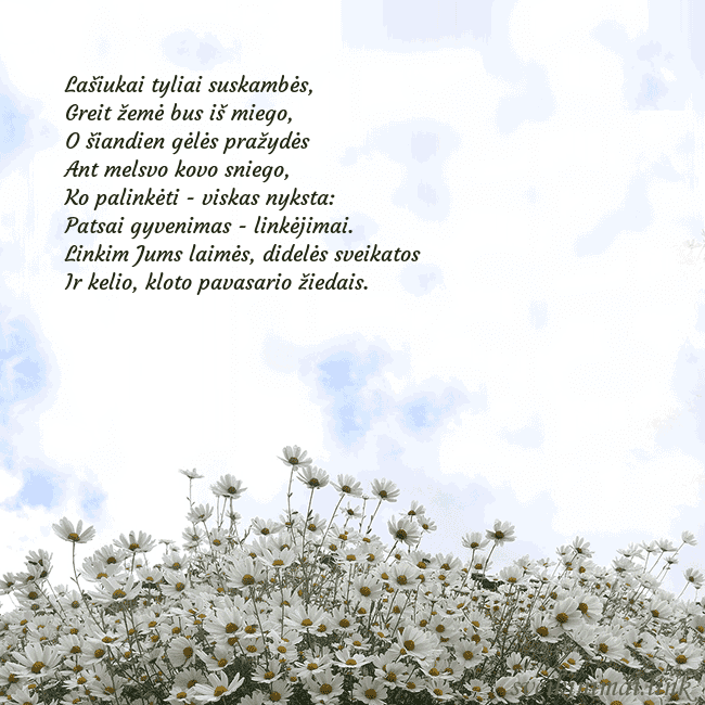 Atvirukas su ramunėmis