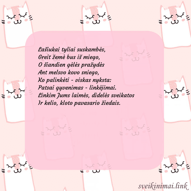 Rožinis gimtadienio atvirukas su juokingais katinais