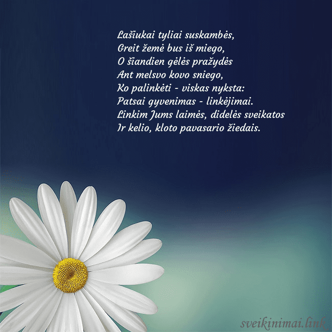 Gimtadienio atvirukas su didele ramune