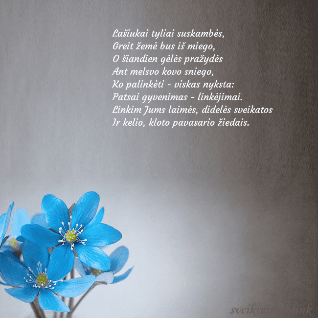 Atvirukas su žibuoklėmis