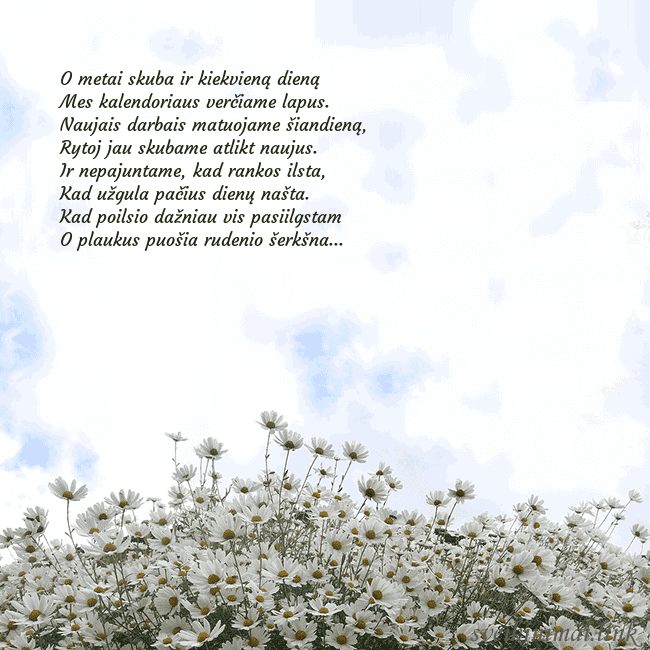 Atvirukas su ramunėmis