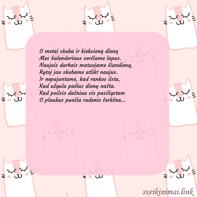 Rožinis gimtadienio atvirukas su juokingais katinais