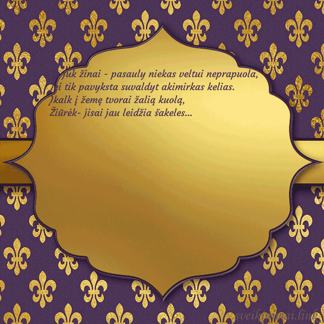 Solidus violetinis gimtadienio atvirukas Tu juk žinai - pasauly niekas veltui neprapuola,
Solidus violetinis gimtadienio atvirukas