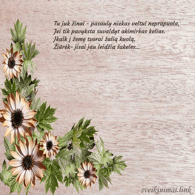 Gimtadienio atvirukas su rusvomis gėlėmis Tu juk žinai - pasauly niekas veltui neprapuola,
Gimtadienio atvirukas su rusvomis gėlėmis