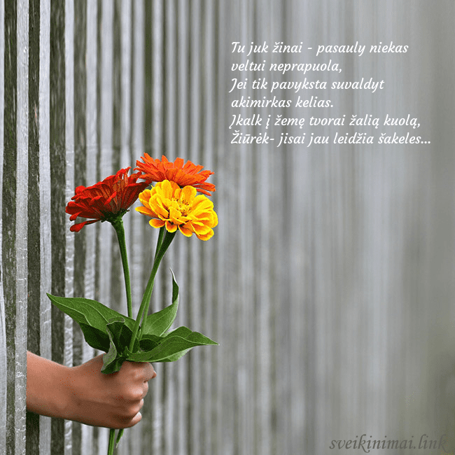 Elektroninė atvirutė su gėlių puokšte Tu juk žinai - pasauly niekas veltui neprapuola,
Elektroninė atvirutė su gėlių puokšte