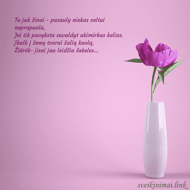 Elektroninė atvirutė su bijūnu vazoje Tu juk žinai - pasauly niekas veltui neprapuola,
Elektroninė atvirutė su bijūnu vazoje