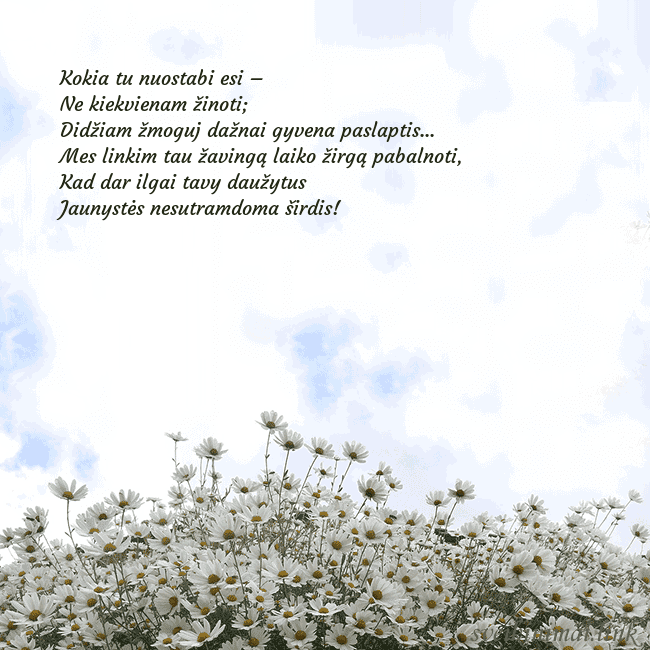 Atvirukas su ramunėmis