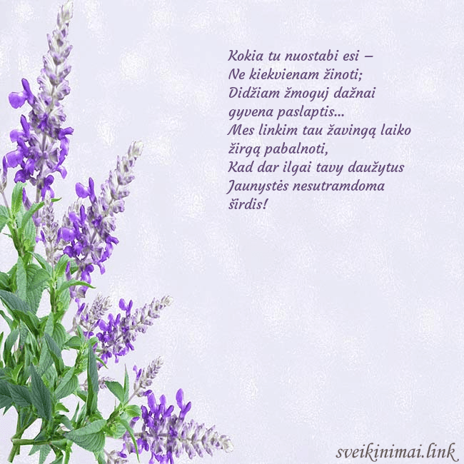 Gimtadienio atvirukas su lubinais