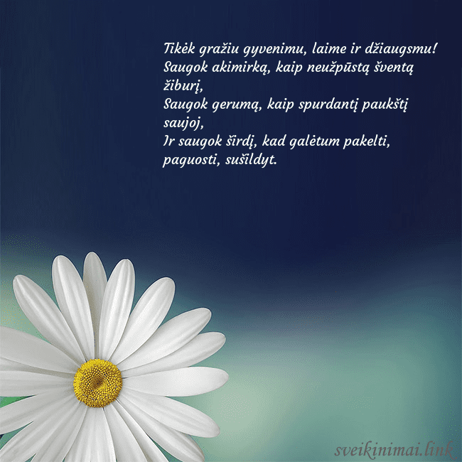 Gimtadienio atvirukas su didele ramune