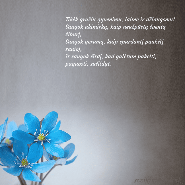 Atvirukas su žibuoklėmis Tikėk gražiu gyvenimu, laime ir džiaugsmu!
Saugok Atvirukas su žibuoklėmis