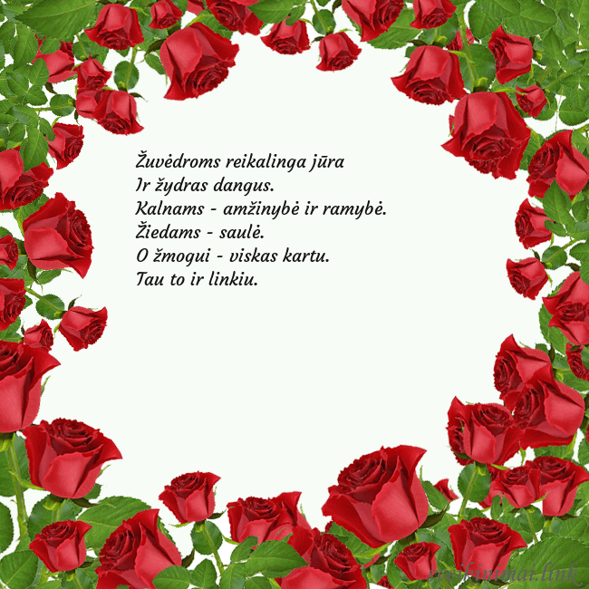 Atvirukas su daug rožių Žuvėdroms reikalinga jūra
Ir žydras dangus.
Kalnam Atvirukas su daug rožių